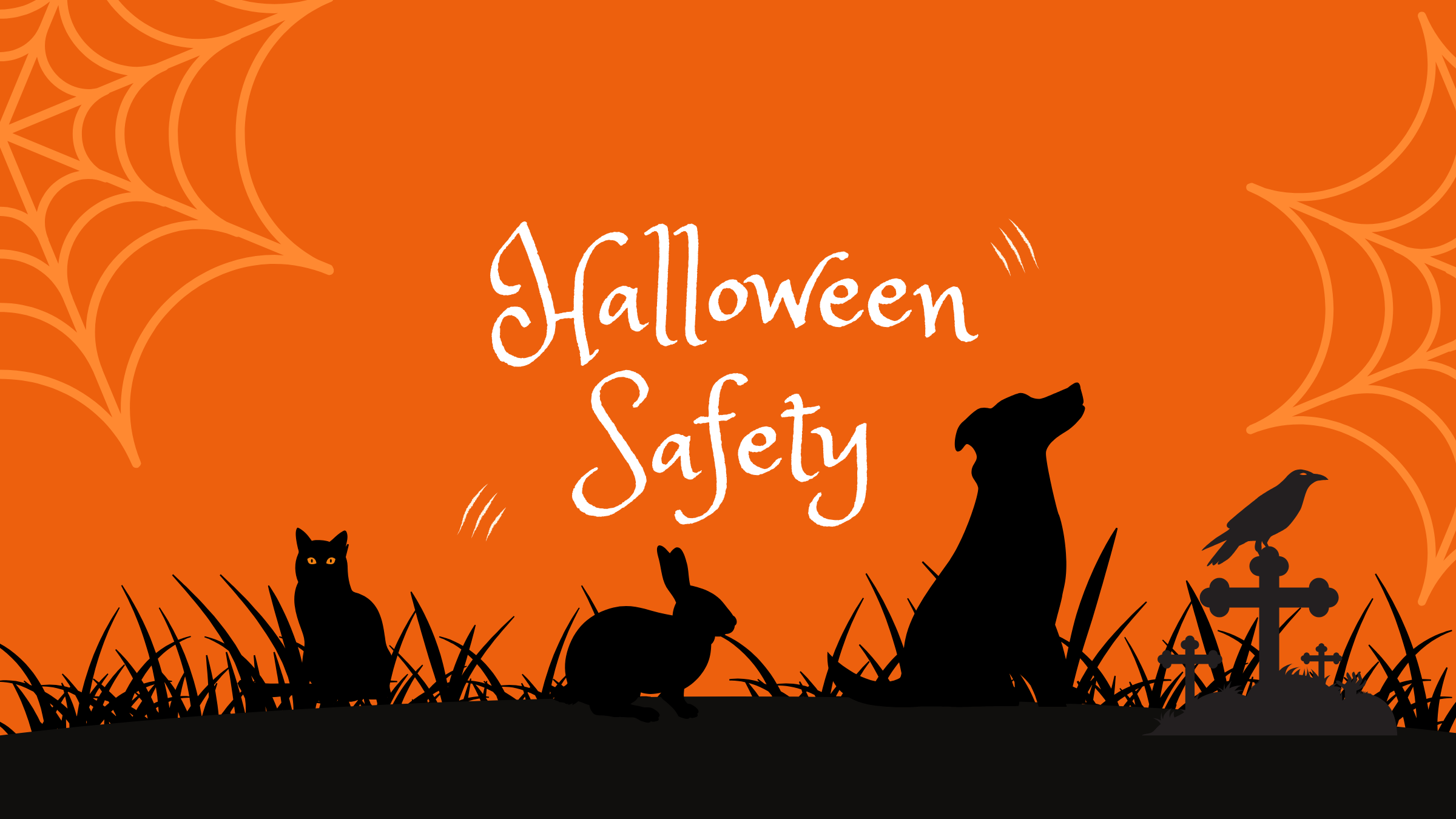 Can My Dog Eat Halloween Treats?