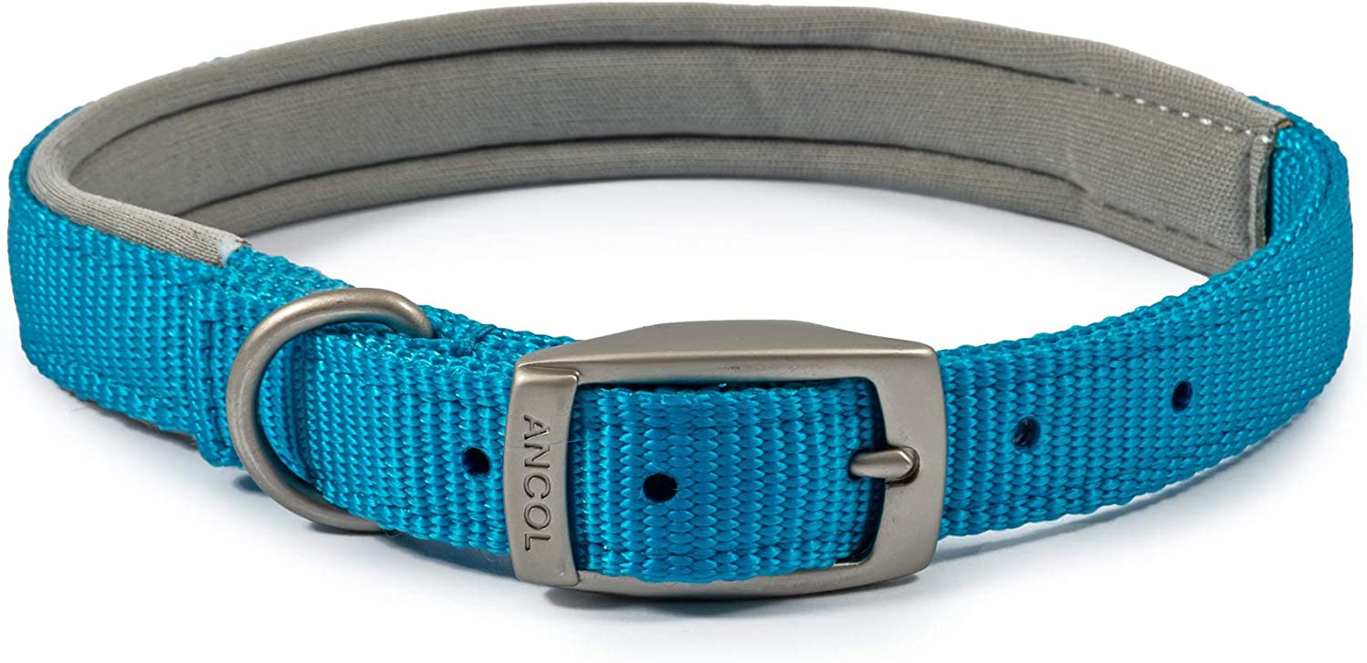 Ancol Blue Padded Collar Neck