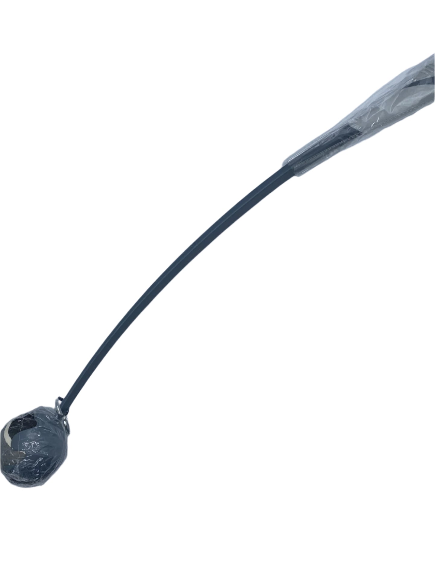 Ball Launcher With Squeaky Tenis Ball
