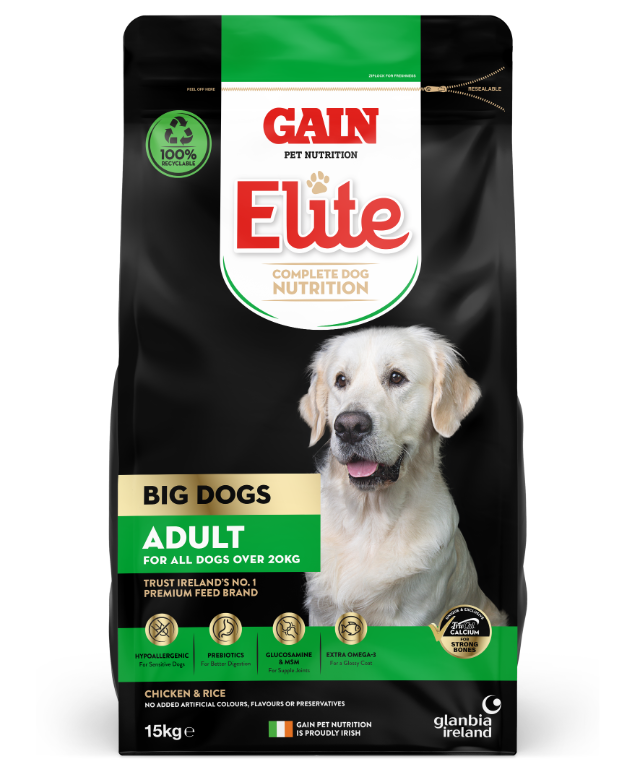 Gain Elite Big Dogs Adult - Chicken and Rice