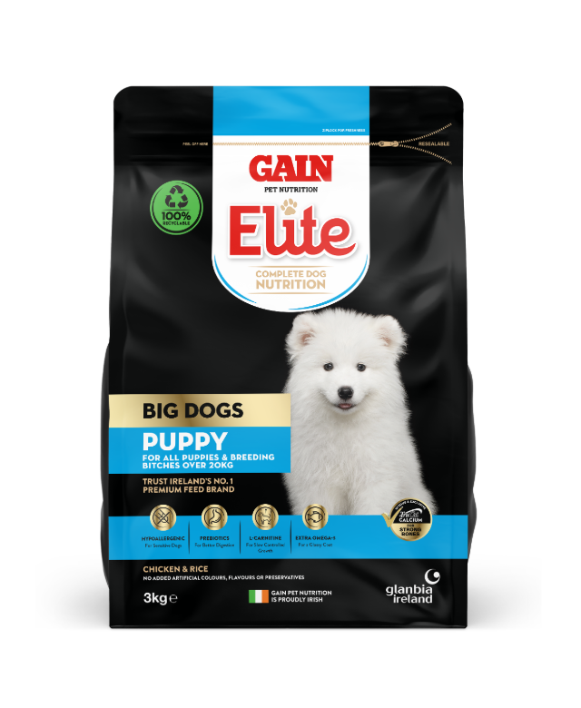 Gain Elite Big Dog Puppy - Chicken and Rice