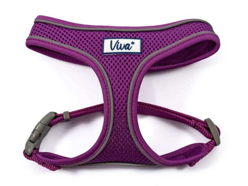 VIVA Comfort Mesh Dog Harness - Purple