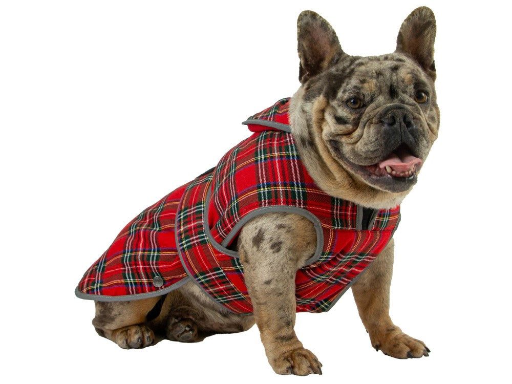 Ancol Muddy Paws Tartan Coat Medium 40Cm