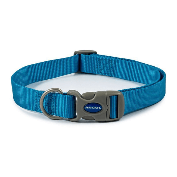 Ancol Viva ADJ Blue Dog Collar
