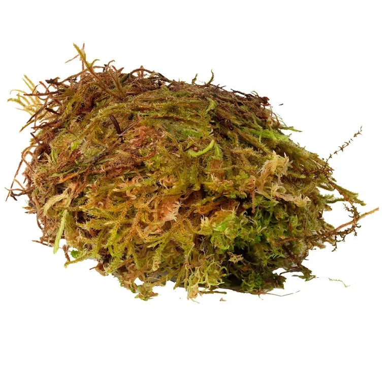 HabiStat Sphagnum Moss – Moisture-Rich Substrate for Tropical Terrariums