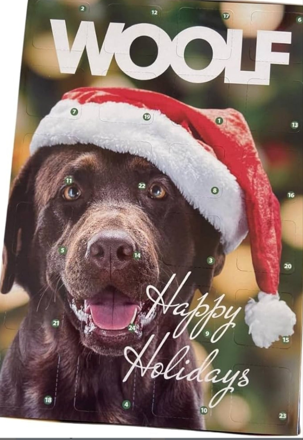 Woolf Advent Calendar for Dogs
