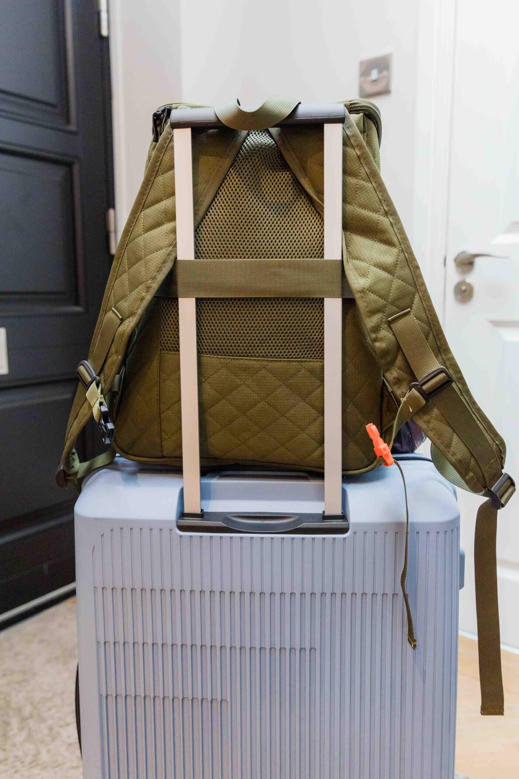 Pet Living Travel Pet Bag