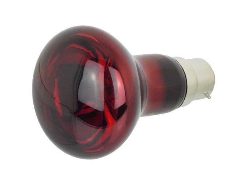 ProRep Infrared Spot Bulb BC