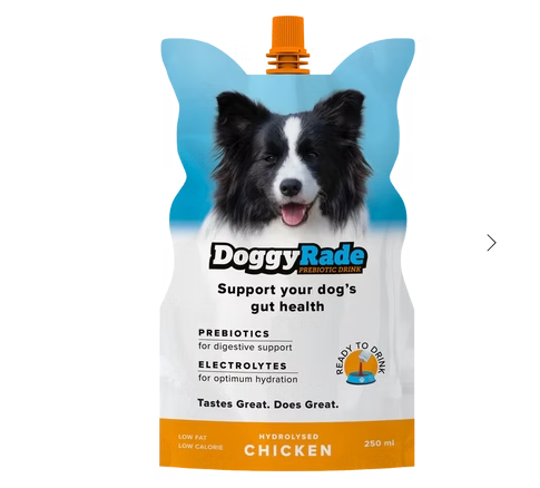 DoggyRade Prebiotic Drink`- Chicken Flavour