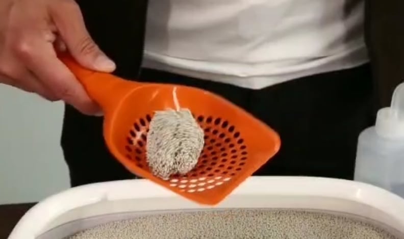 VPSBentonite Clumping Cat Lavender Scented Litter