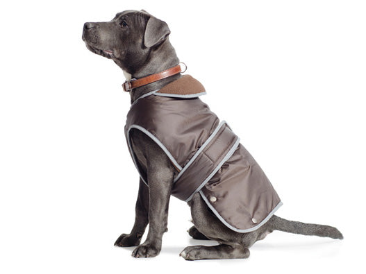Ancol Stormguard Chocolate Coat