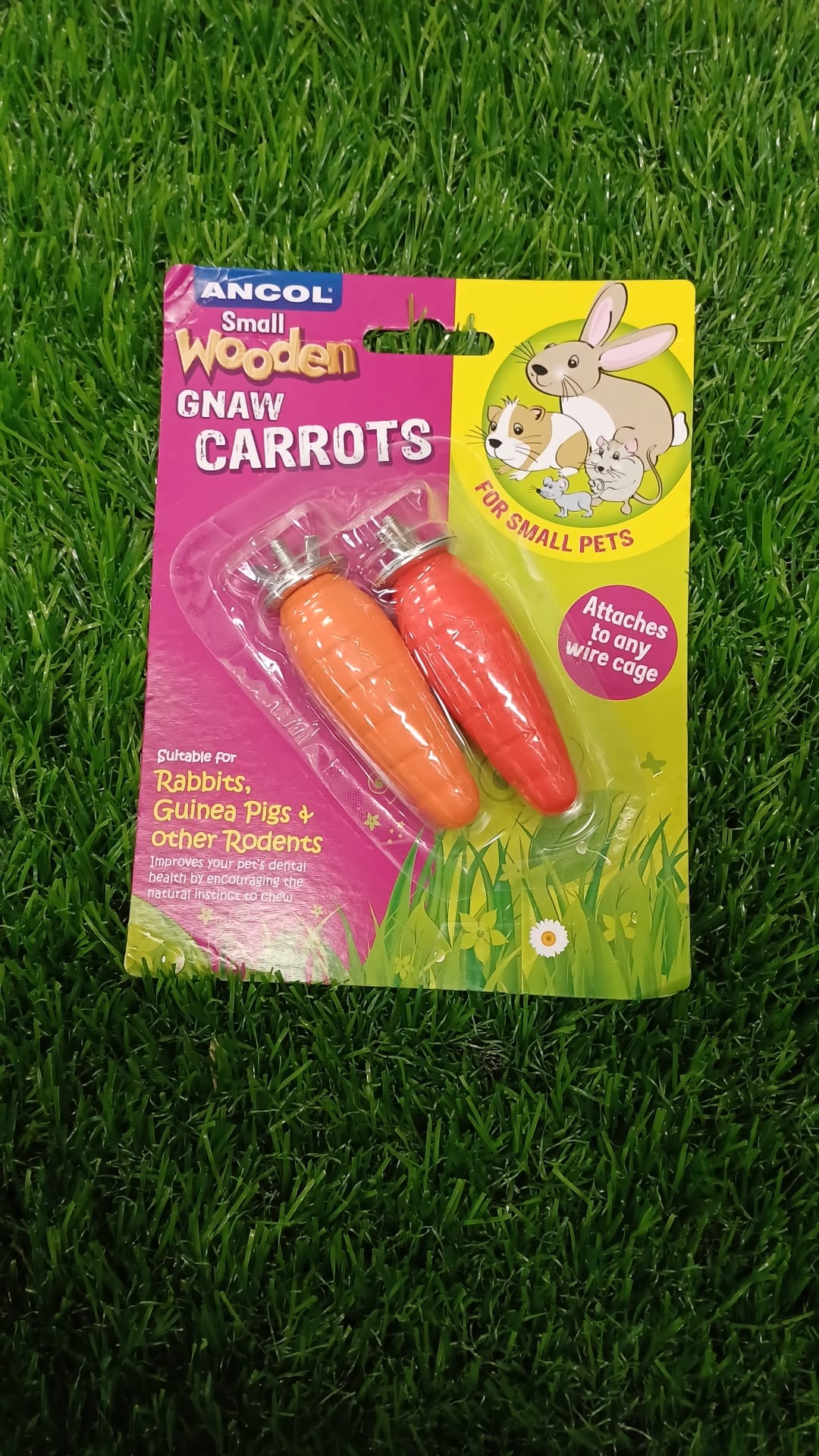 Wooden Gnaw Carrot for your Small Animals