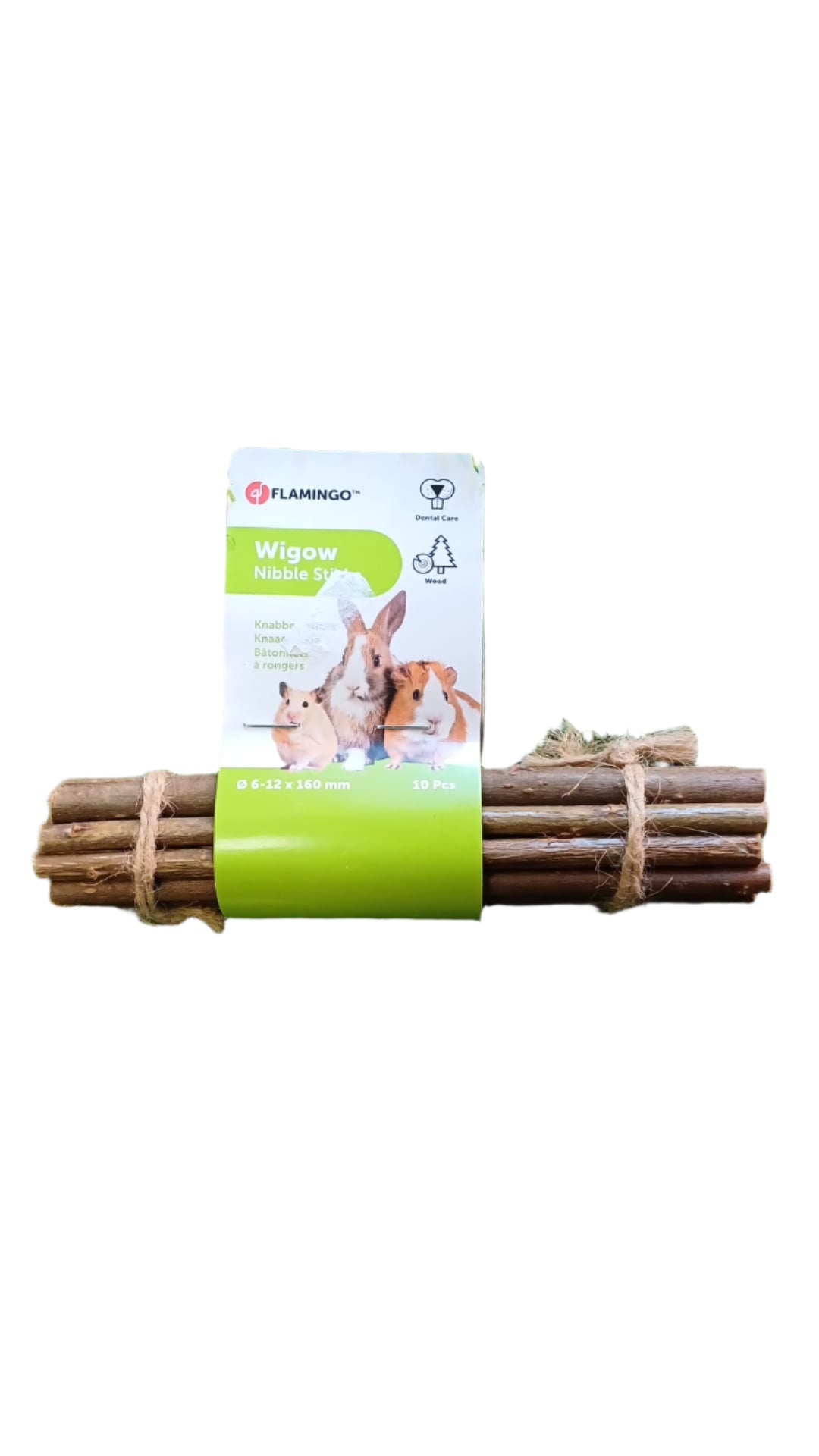 Guinea Pig Toys