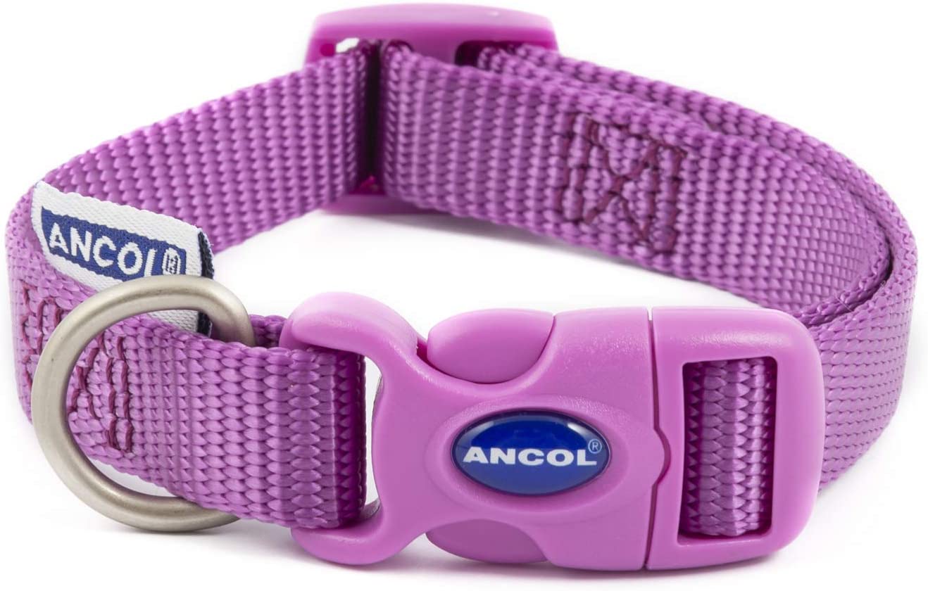 Ancol ADJ Dog Collar - Purple