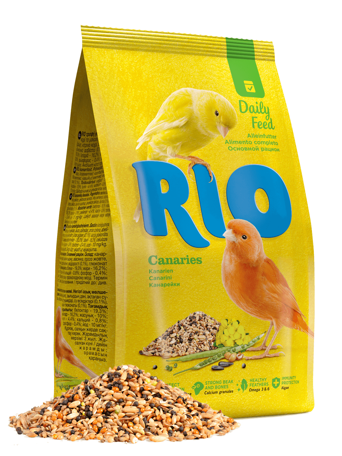 Rio Daily Feed for Canaries
