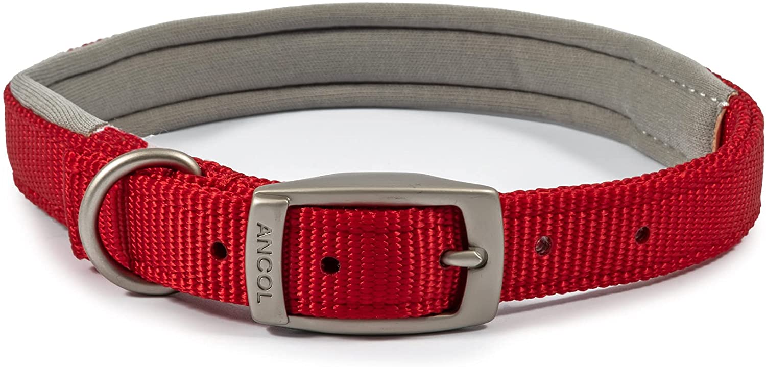 Ancol Red Padded Collar