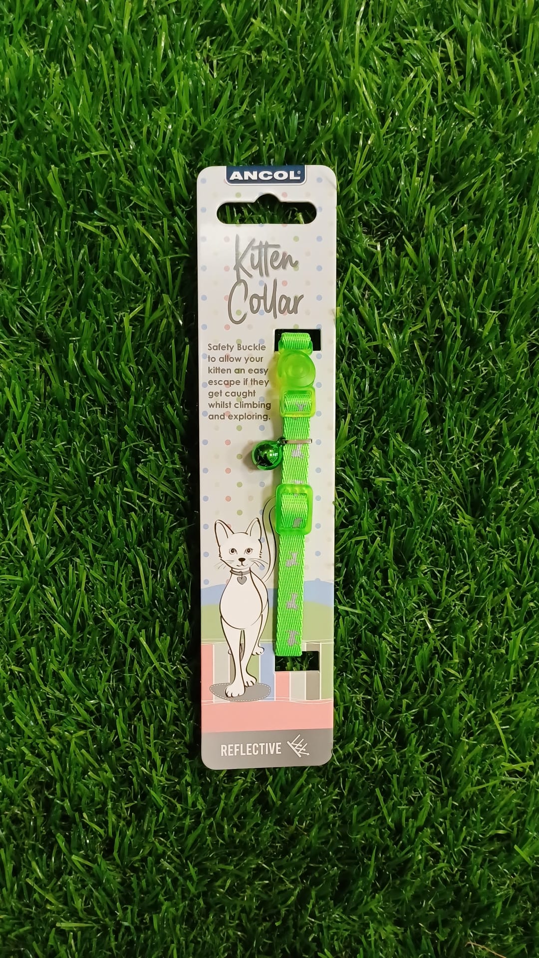 Hi Vis Reflective Kitten Collars