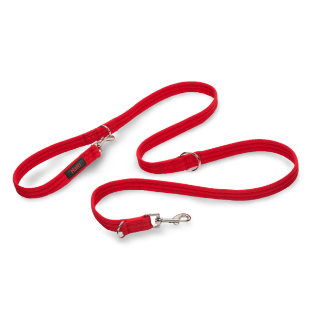 Red Halti Train Dog Training Lead