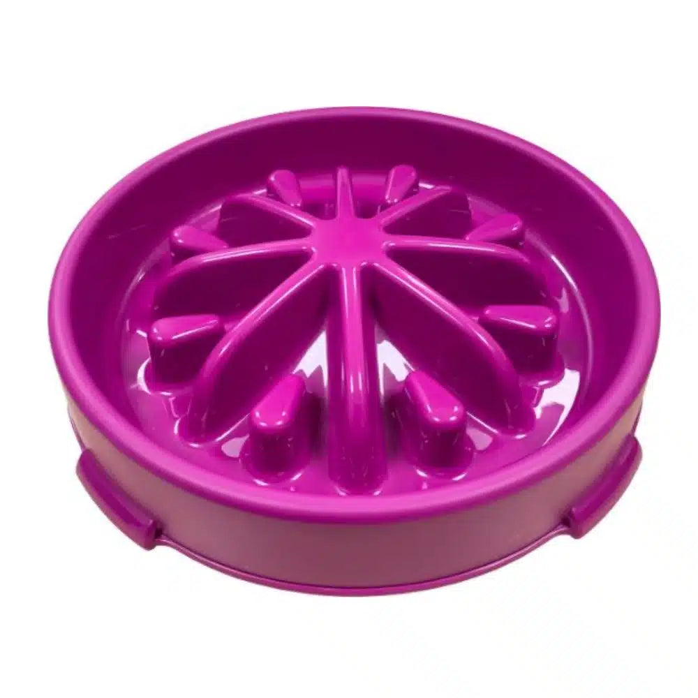 Large Hem and Boo Slow Feeder Pet Bowl
