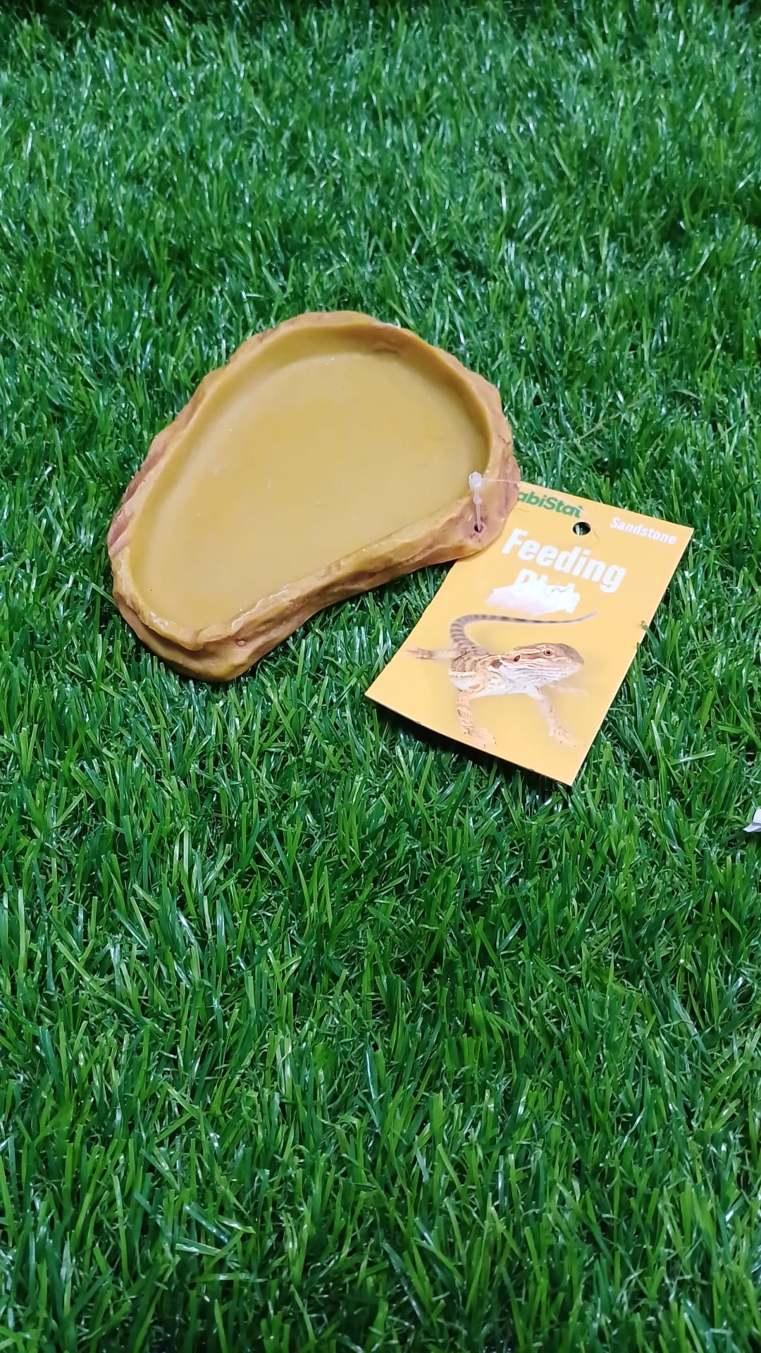 Sandstone Feeding Dish by HabiStat