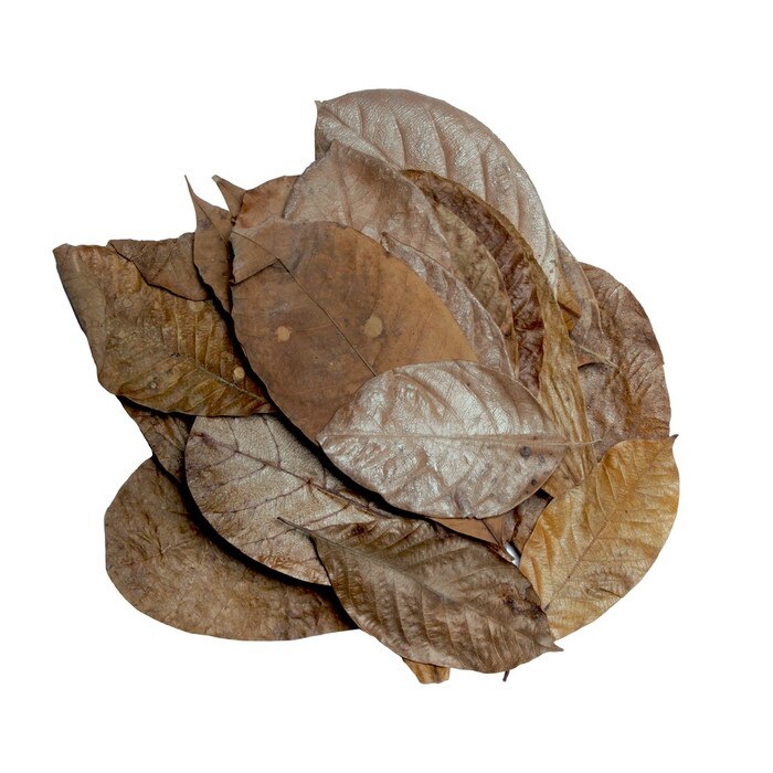 HabiStat Elements Mixed Leaves 30pack