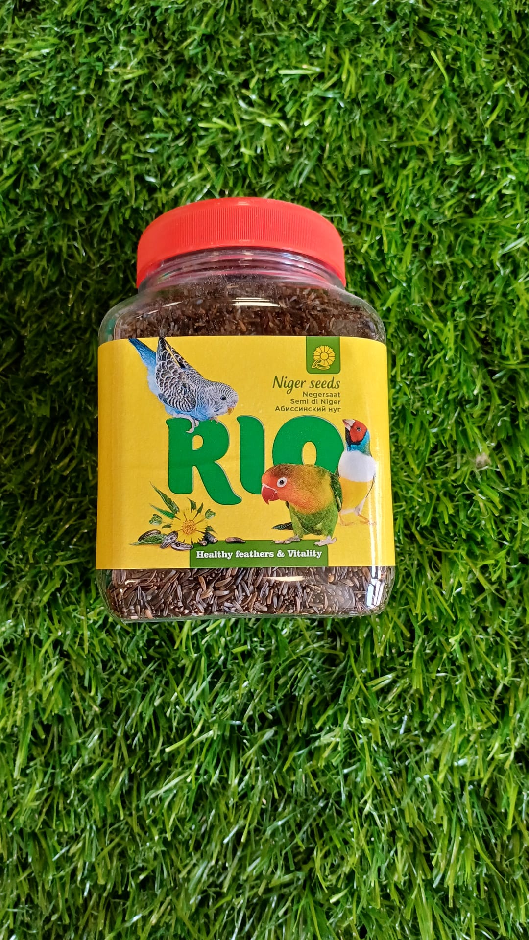 Rio Niger Seeds for All Birds