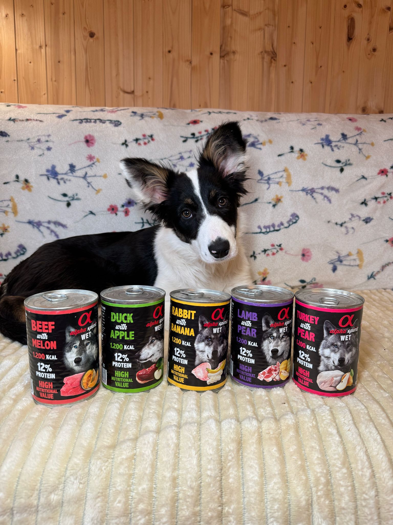Alpha Spirit Turkey with Pear Dog Wet food