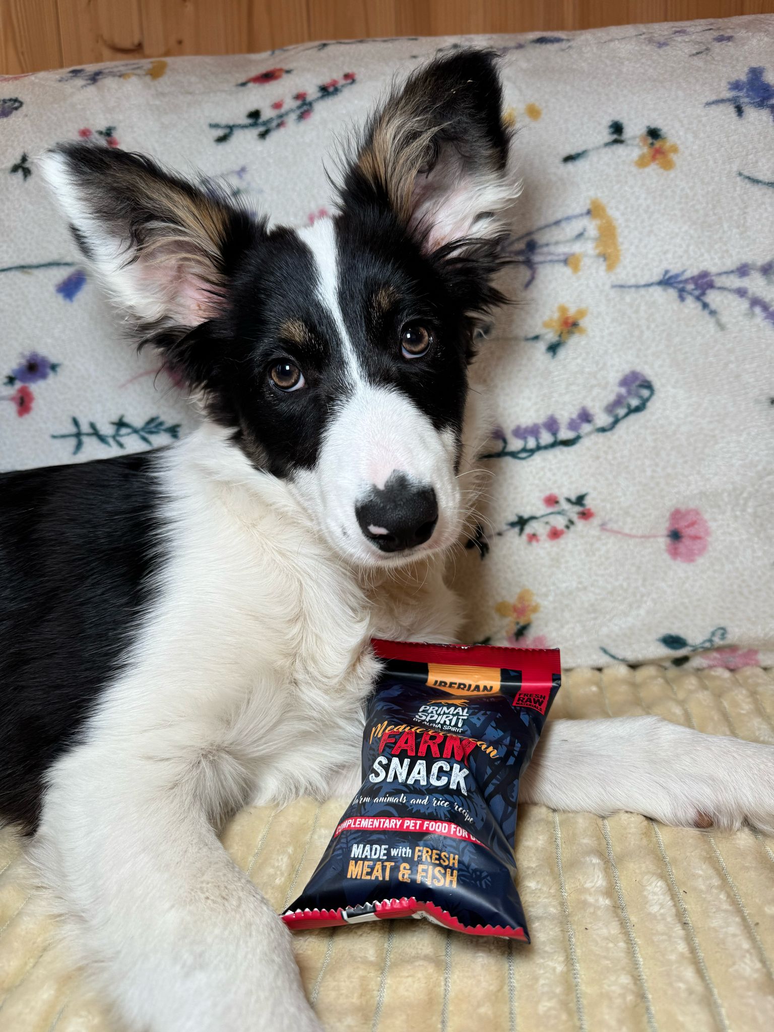 Primal Spirit Mediterranean Farm Dog Treats