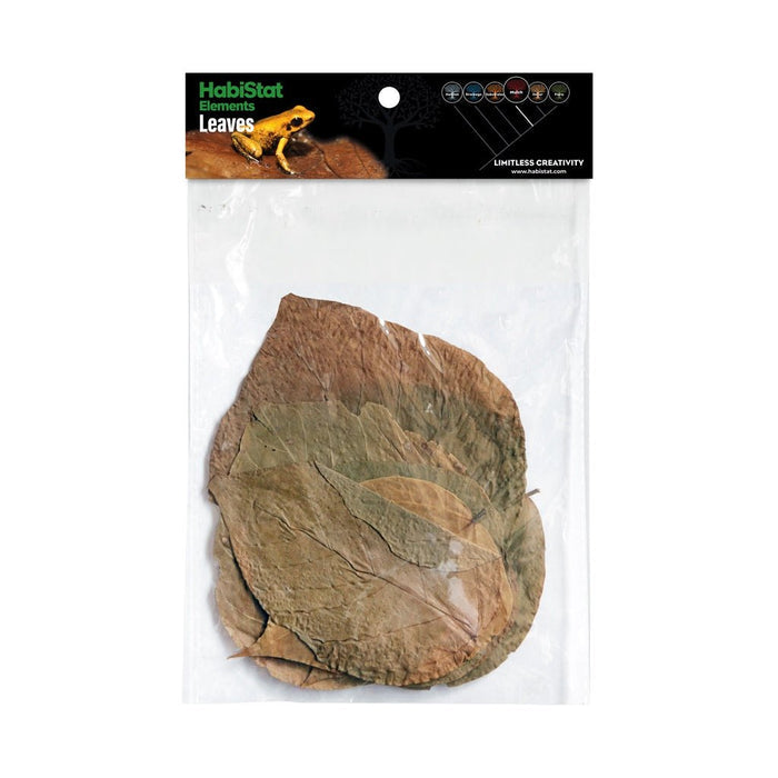 HabiStat Elements  Dadap Leaves 10Pack