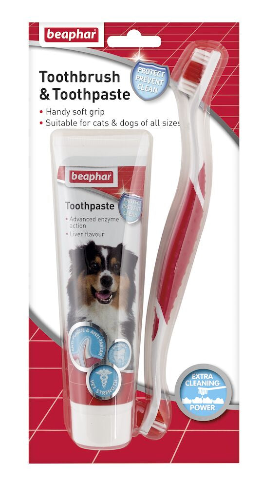 Beaphar Dental Kit For Your Dog