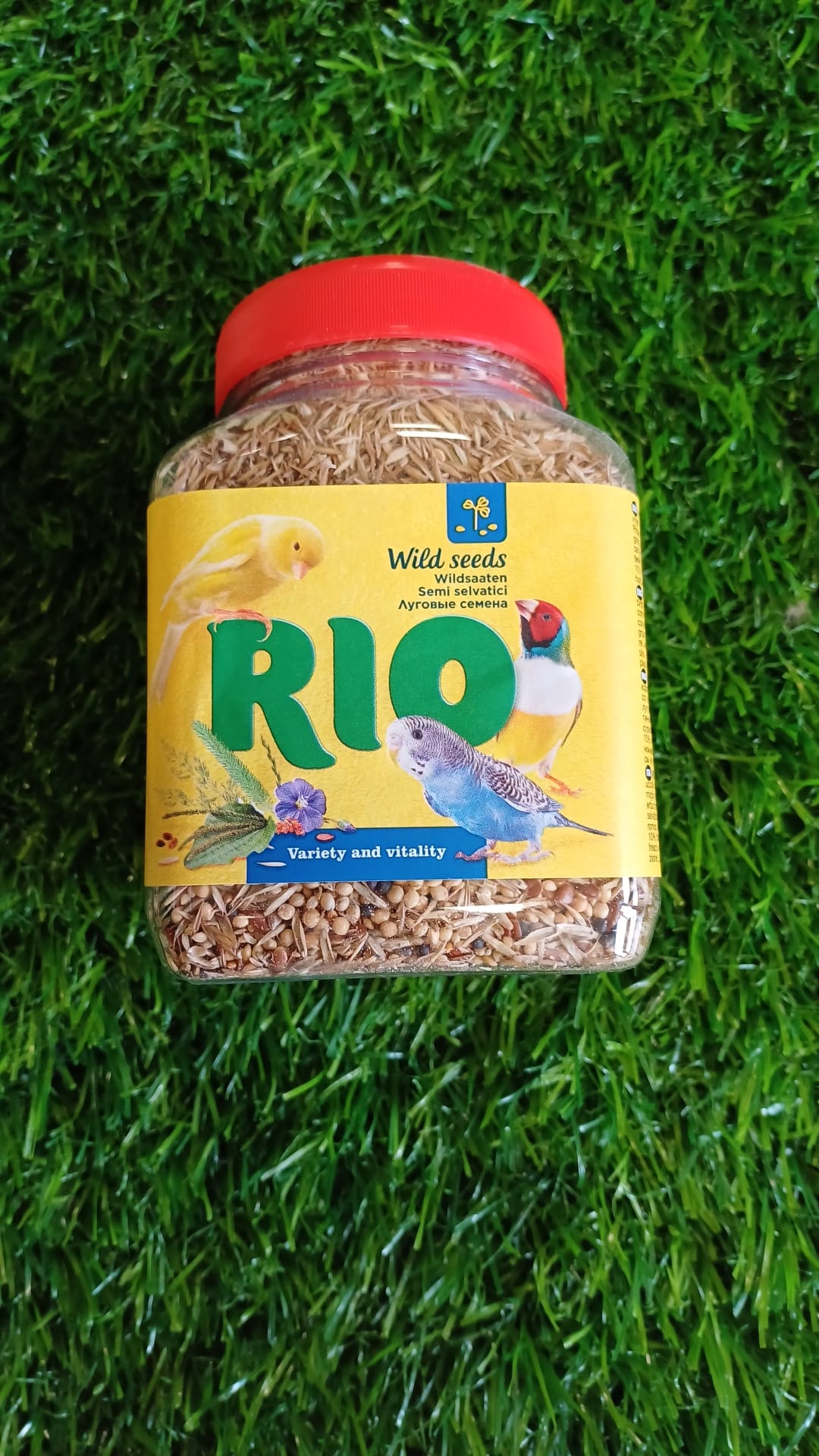 Rio Wild Seeds for All Birds