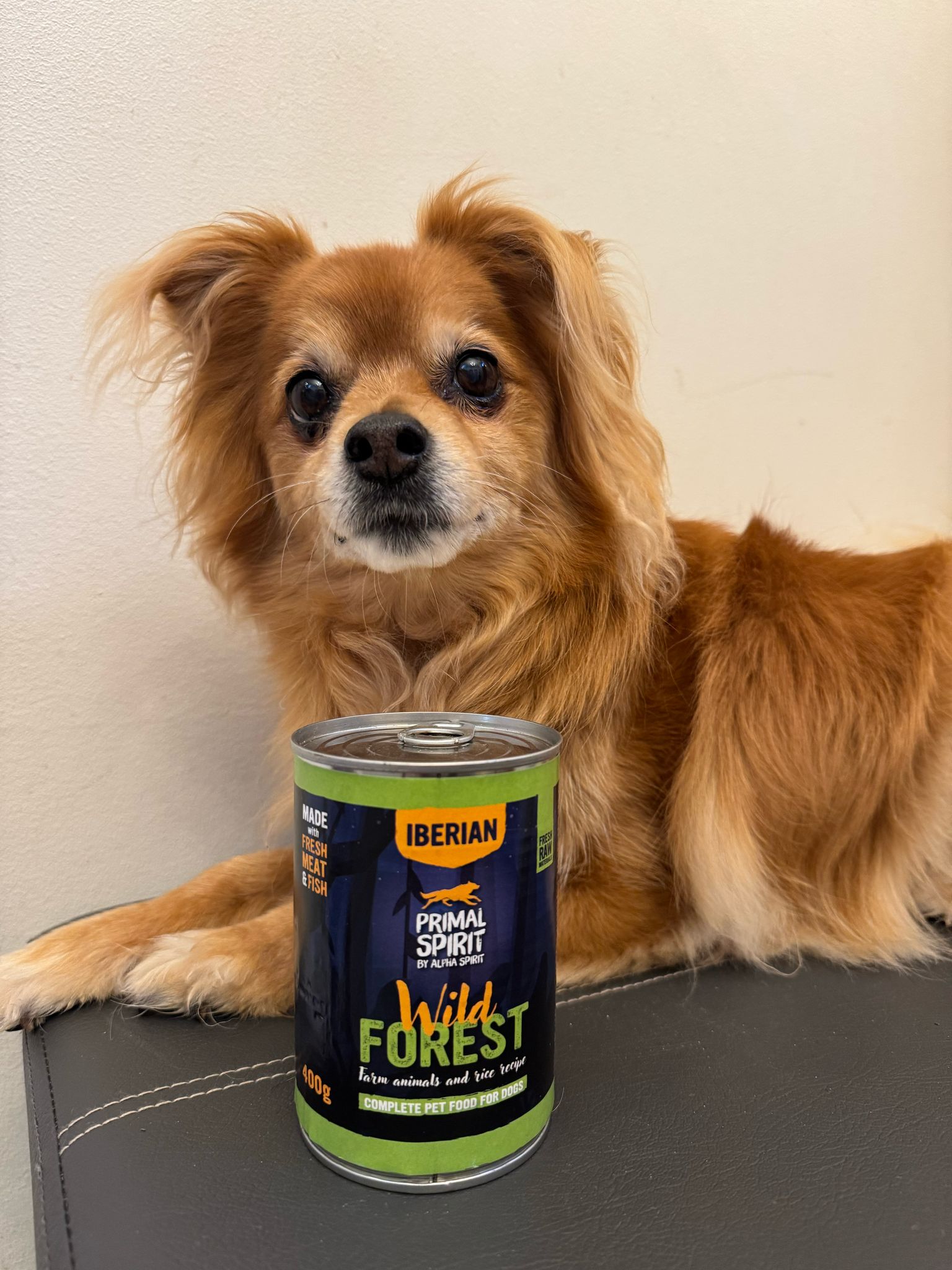 Iberian Wild Forest Complete Wet Canned Dog Food
